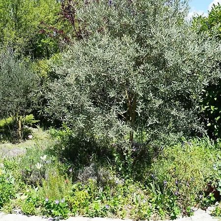 Lou Pichoun Au Coeur D'un Village Provencal